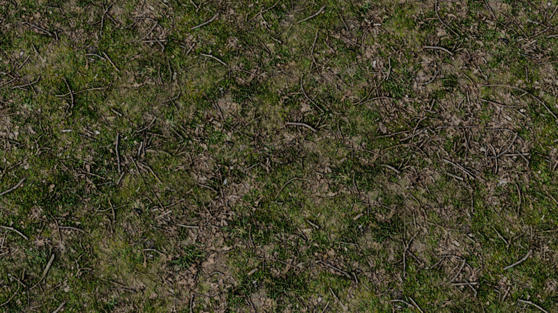 Ray-MMD 1.5.2用 地面 ForrestGround