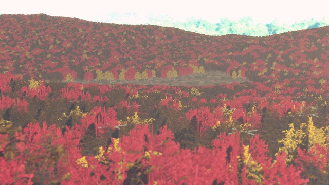 紅葉の山ステージ