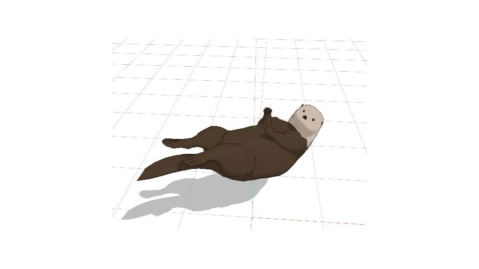ラッコ