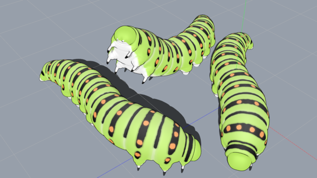 おかだ動物再配布