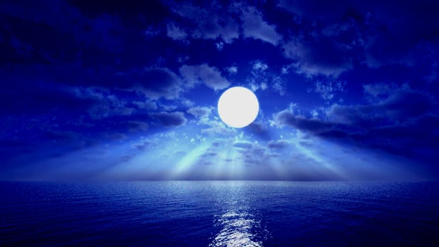 スカイドーム(まばゆい月光) VOL.TD8