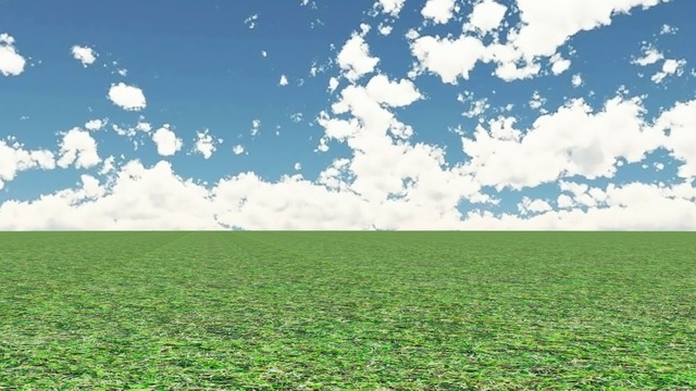 地面（芝生、落ち葉） VOL.B6