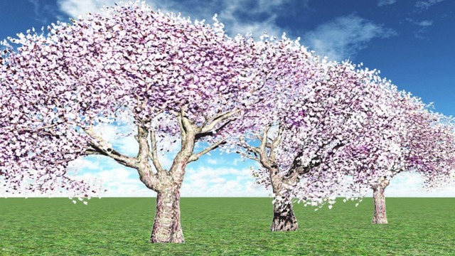 再配布アクセサリ(桜の木V1.3) VOL.L4