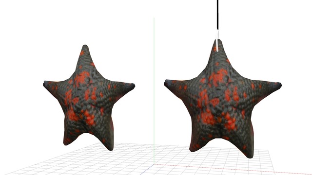 イトマキヒトデ