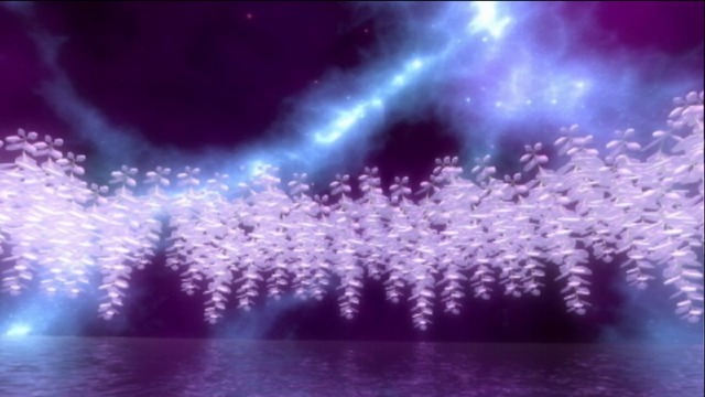 藤の花アート夜空１