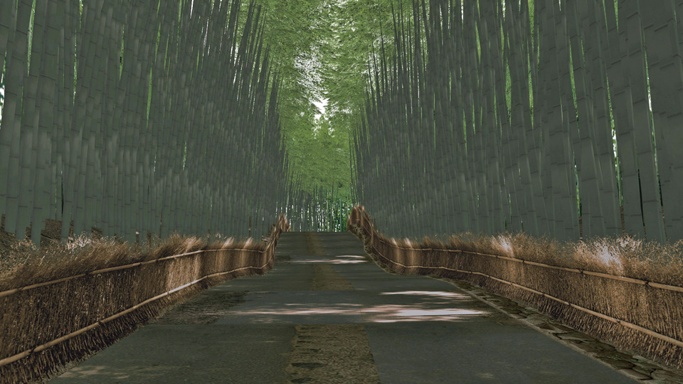 嵯峨野竹林（MMDステージ）