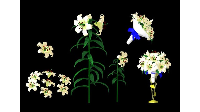 カサブランカセット