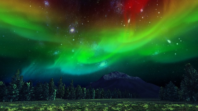 スカイドーム(オーロラの森) VOL.EE5