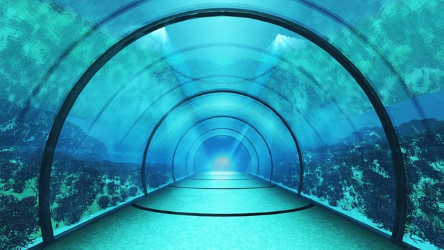 スカイドーム(アクアトンネル) VOL.EE8