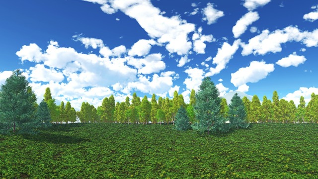 スカイドーム(午後の牧場) VOL.KK6