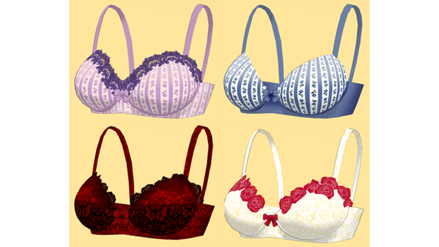 ブラジャーみたいな何か