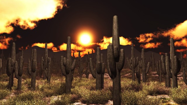 スカイドーム(夕暮れのサボテン) VOL.KK2