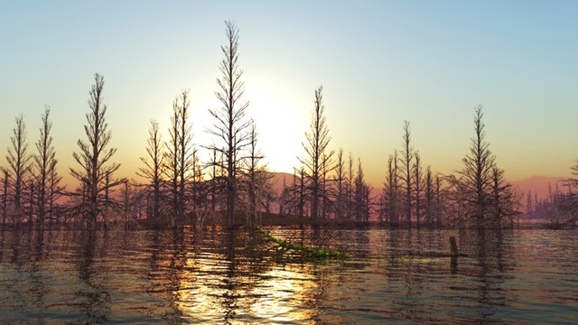 スカイドーム(湖面と枯木) VOL.MM8