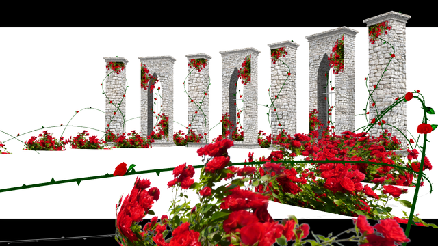 Rose Wall