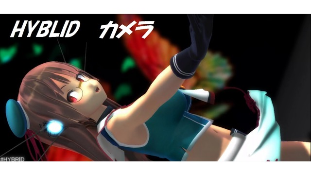 HYBLID２人用カメラ（アングル注意）