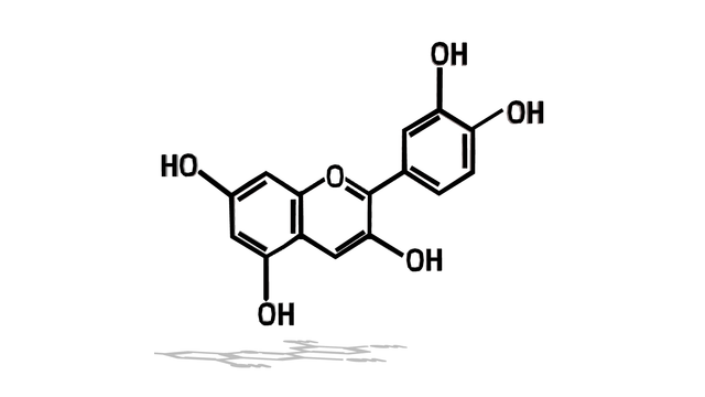 杏斗紫あにんVer1.0