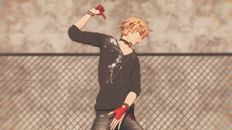 エゴロック　カメラ