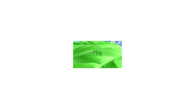 葉っぱセット - BowlRoll