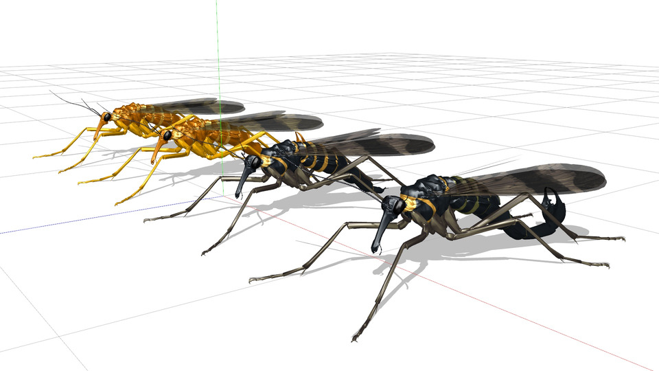 ヤマトシリアゲ MMDモデル