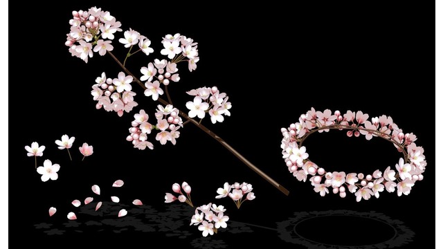 桜