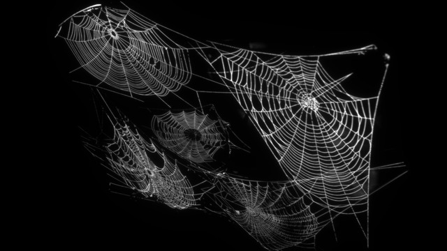 アクセサリ(蜘蛛の巣) VOL.K8