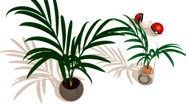 テーブルヤシ < 観葉植物 >