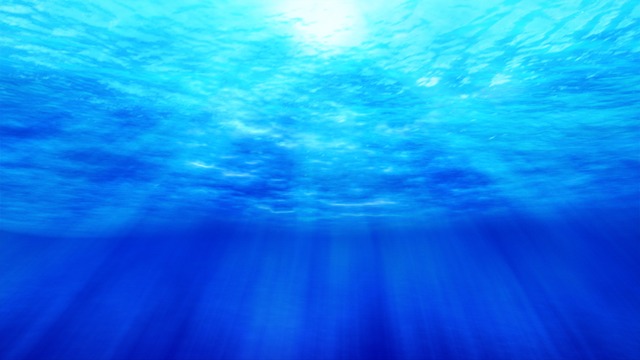 海中から見る水面と光の揺らぎ
