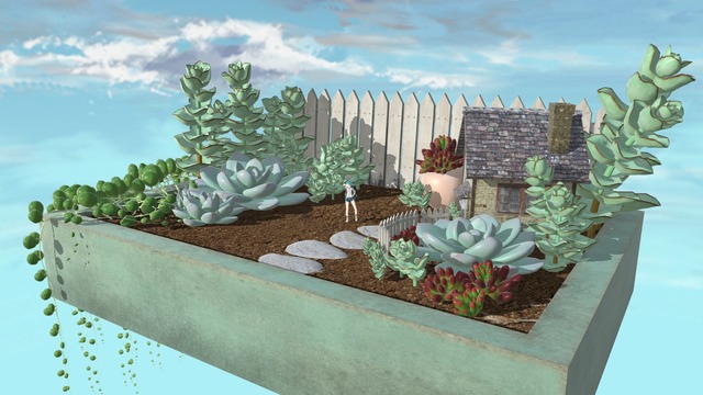 多肉植物の箱庭ステージ