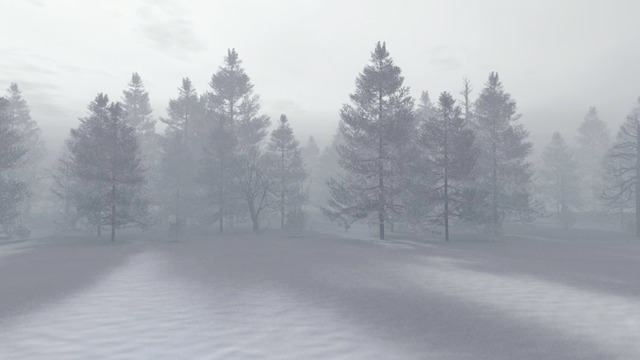 スカイドーム(冬の霧の森) VOL.TL2