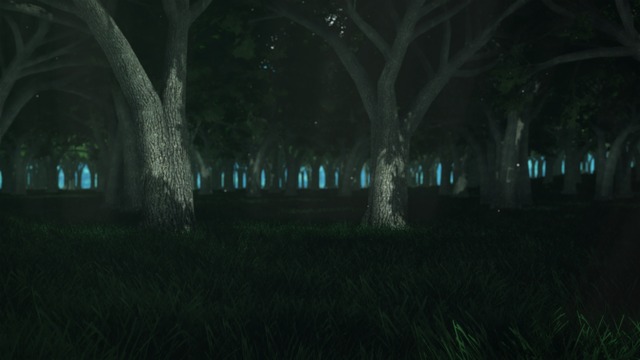 普通の森 ステージ