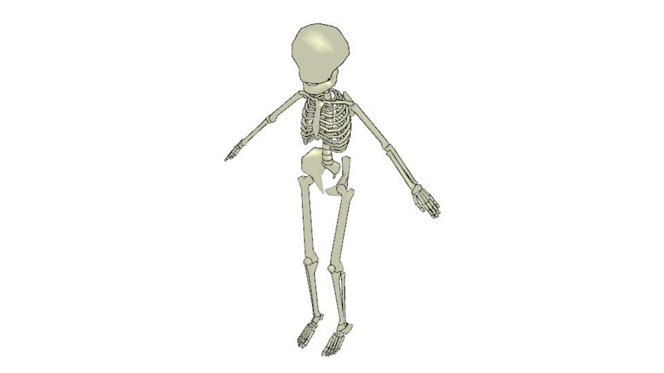 ローポリ骨格