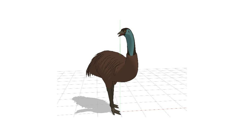 エミュー
