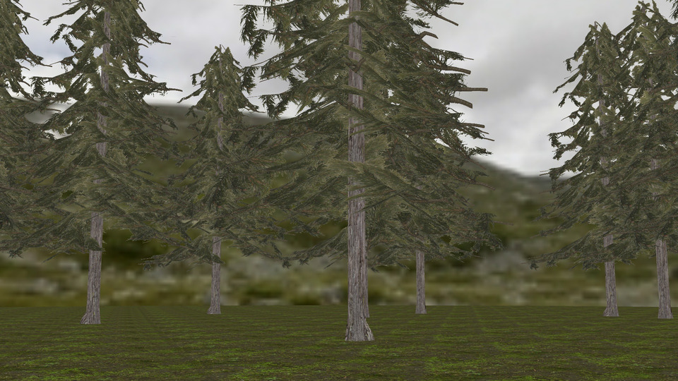 針葉樹林ステージMMDモデル