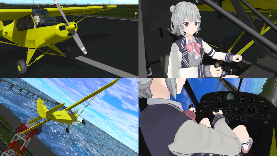 PA-18でさんかく島上空を飛ぶ