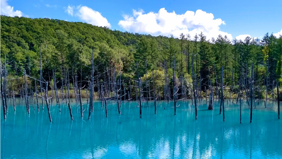 【VRMMD】青い池【ステージ配布】