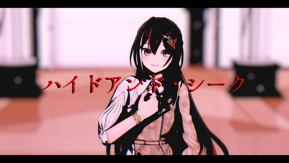 ハイドアンド・シーク　カメラ