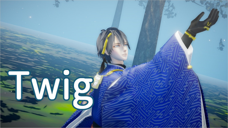 Twigカメラ＆LIP配布