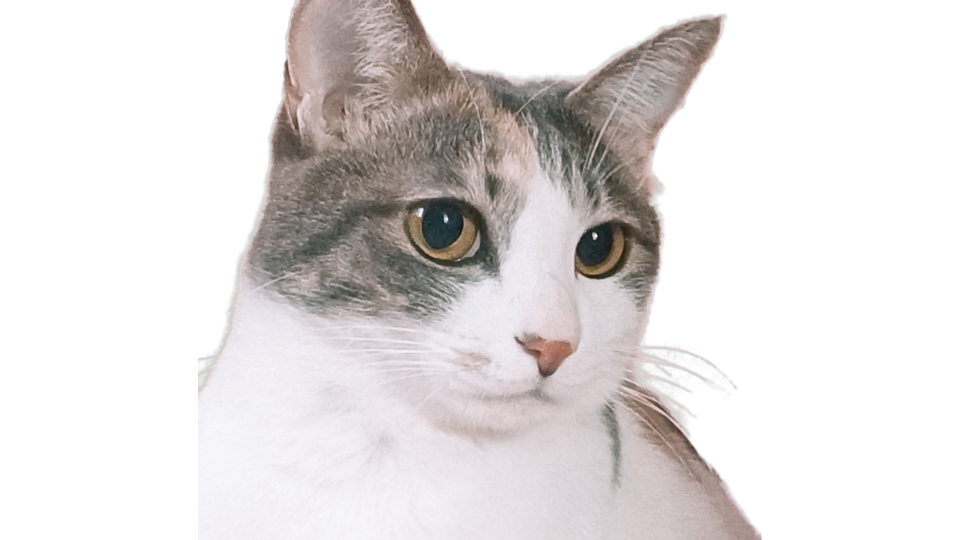 猫音レオ OU 1.0