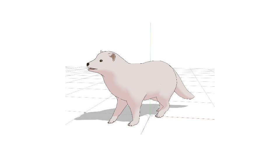 ホッキョクギツネ