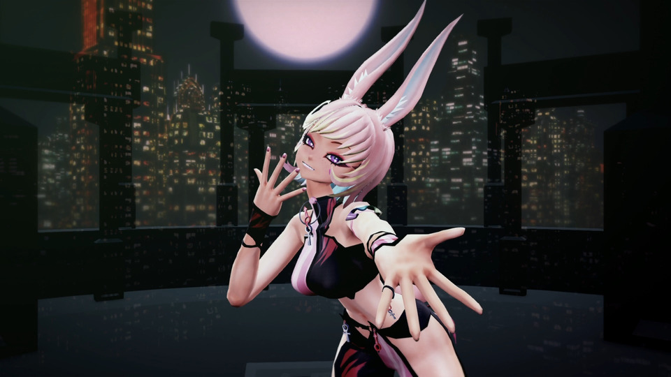 アイドル・カメラ　　（大黒屋）