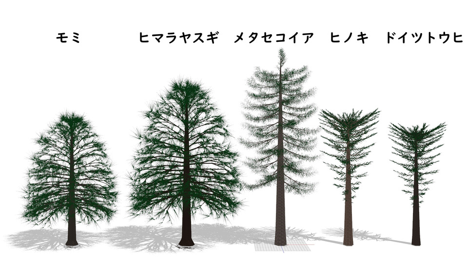 針葉樹セットMMDモデル