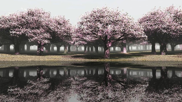 スカイドーム(花曇り) VOL.V6