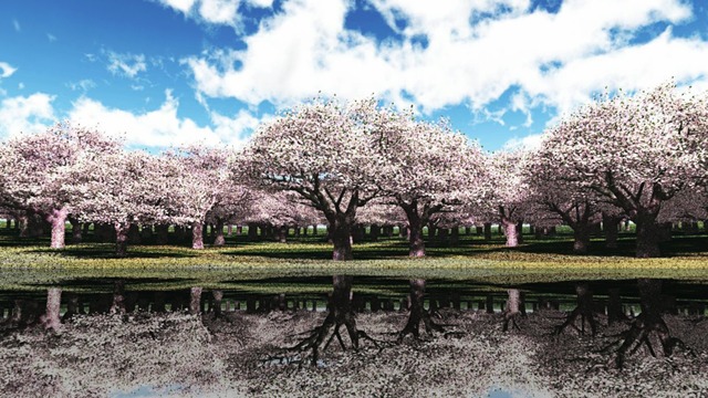 スカイドーム(満開の桜) VOL.V7