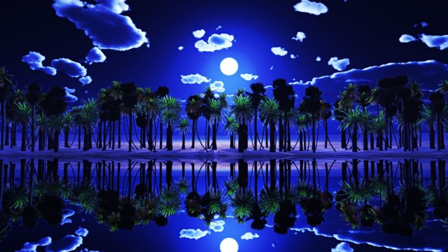 スカイドーム(月夜の海岸) VOL.V8