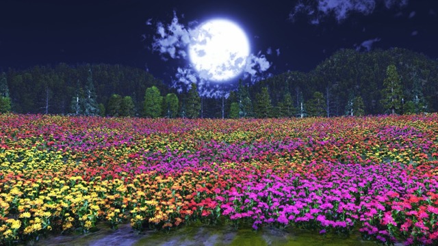 スカイドーム(夜のお花畑) VOL.X1