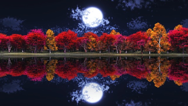 スカイドーム(夜の紅葉) VOL.X2