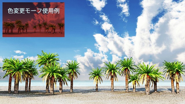 スカイドーム(椰子の海岸) VOL.L6