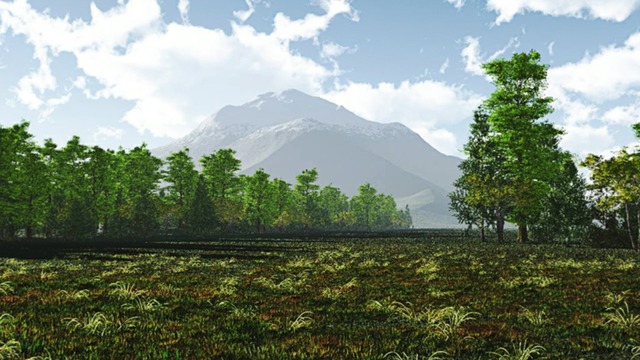 スカイドーム(午後の森) VOL.CC8