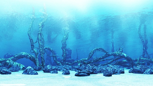 スカイドーム(湖底) VOL.CC1