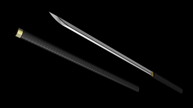 仕込みっぽい刀